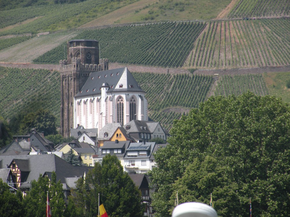 viñedos ribera Rhin